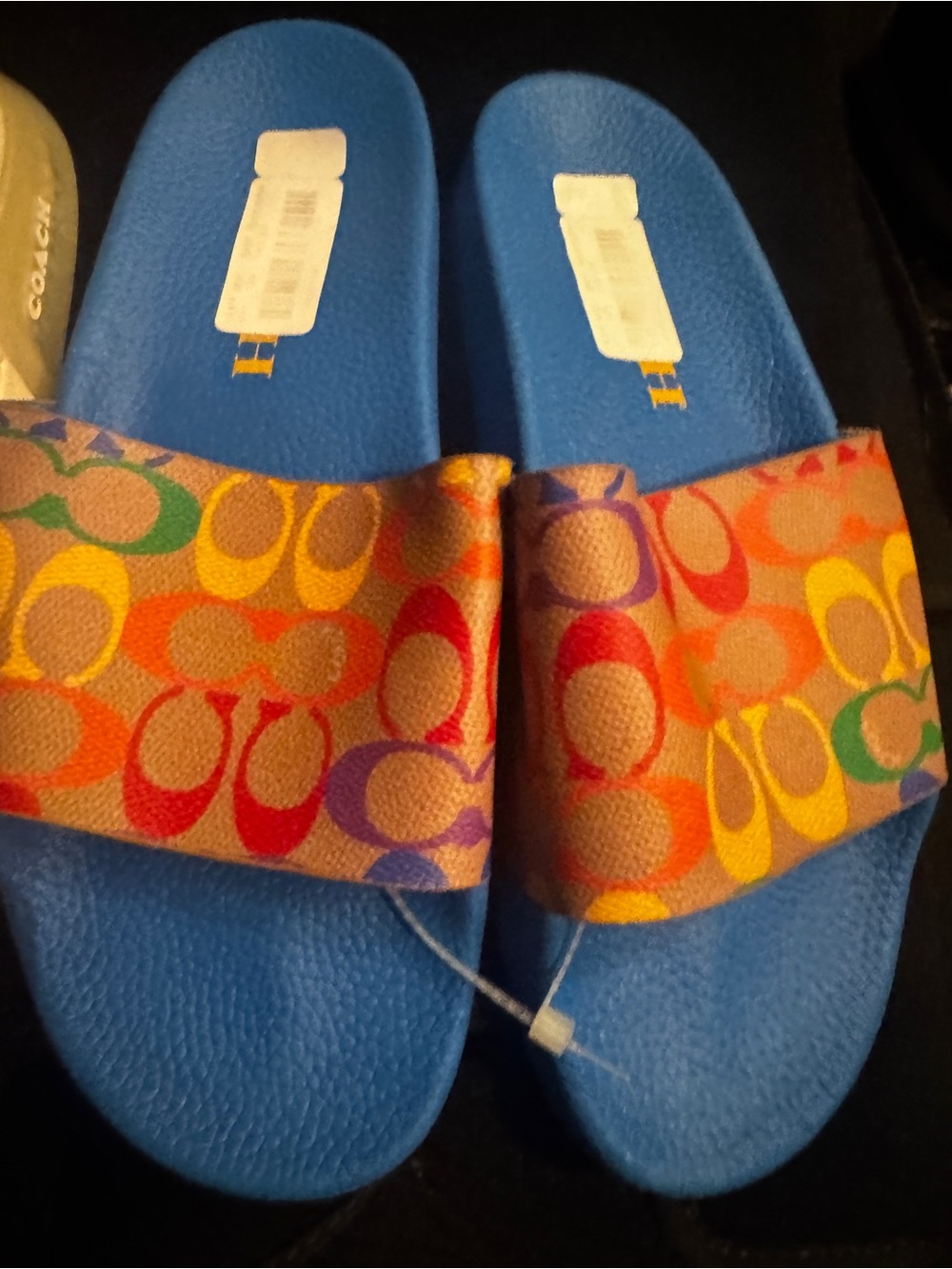 Coach Multicolor Signature Slide Sandals - Blue Footbed